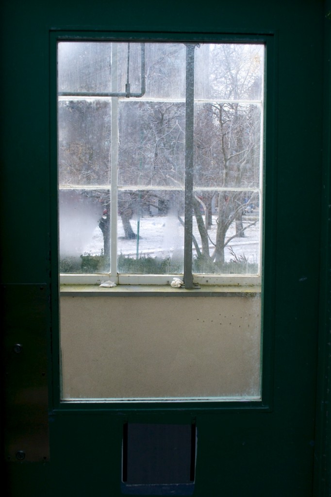 Window of dark green door in Allan Gardens Conservatory, Toronto 2011-02-19