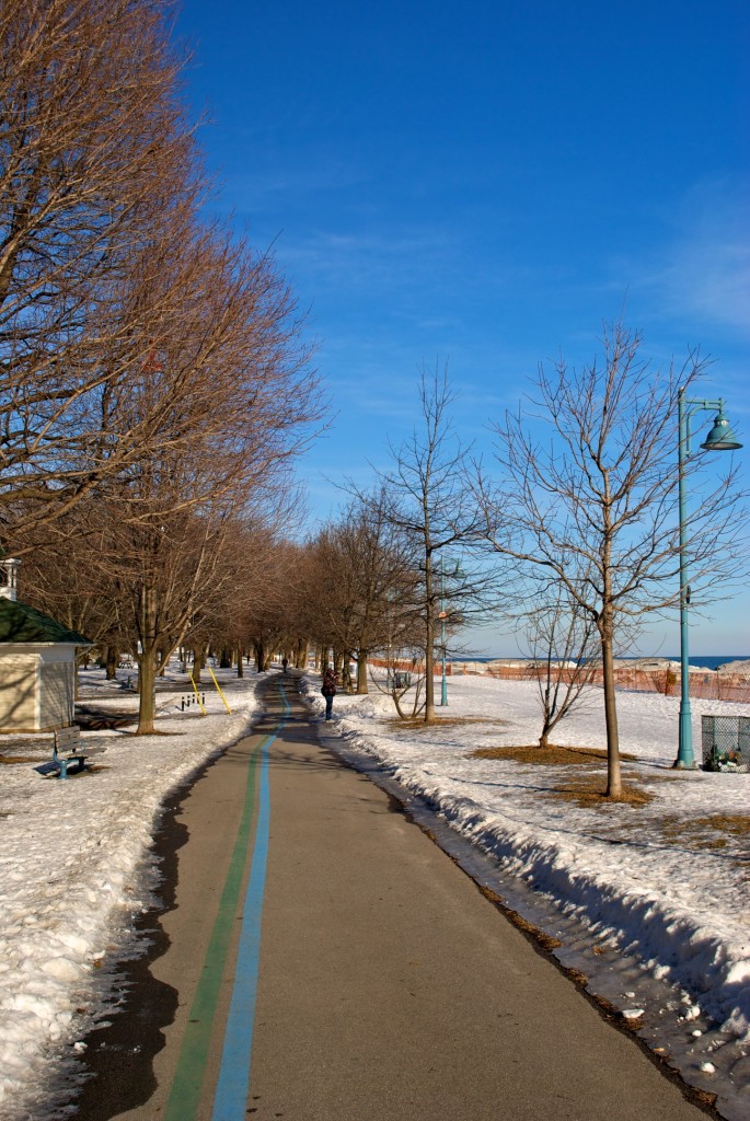 Martin Goodman Trail, Kew-Balmy Beach, Toronto 2011-02-15