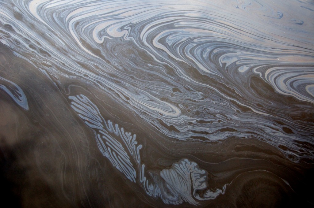 Pseudo-fractals in puddle on Mortimer Avenue, Toronto 2011-02-17