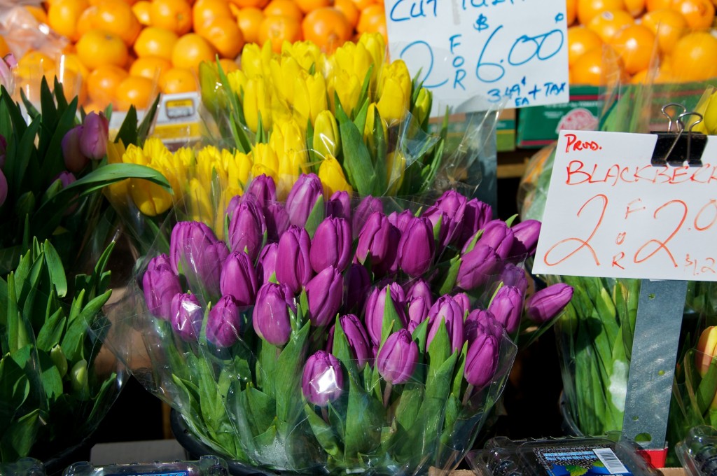 Purple tulips from a Danforth Avenue market, Toronto 2011-02-18