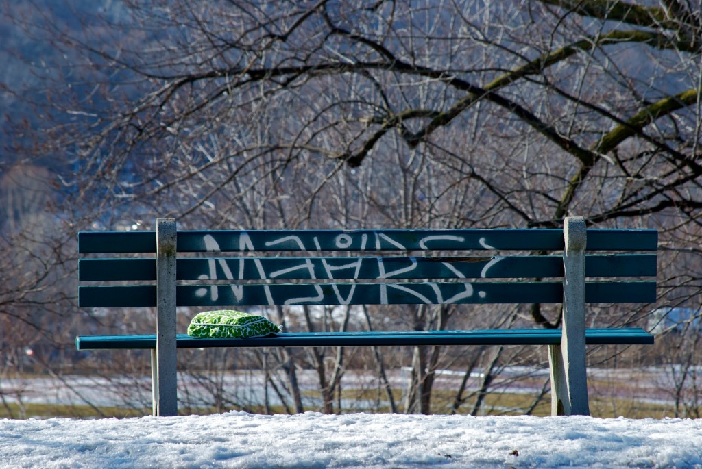 Bag on a bench in Riverdale Park, Toronto 2011-03-01