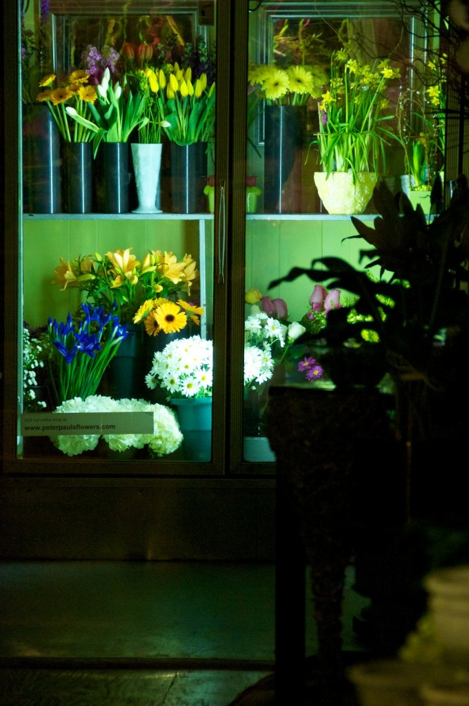 Lit refrigerators at Peter Paul's Flowers on Danforth Avenue, Toronto 