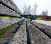 Series of benches in Woodbine Park, Toronto 2011-04-27