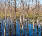 Blue sky reflecting in the pooling water, Tommy Thompson Park, Toronto 2011-04-30