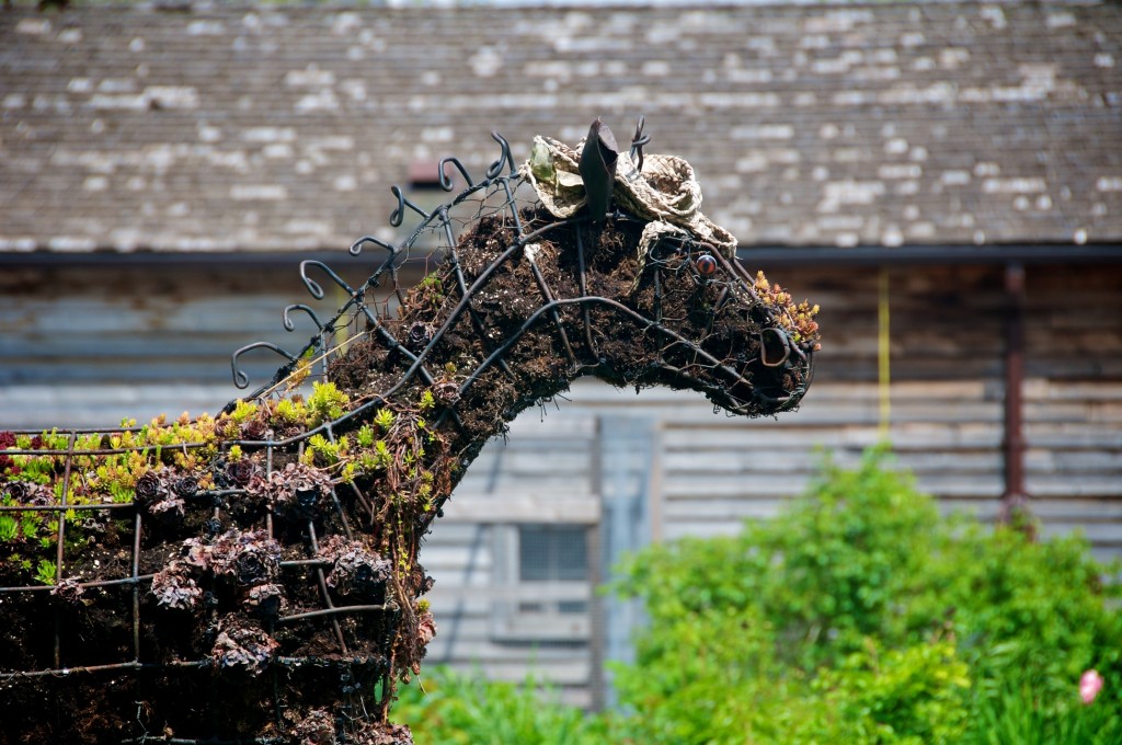 Sideview of horse at Riverdale Farm, Toronto 2011-05-26
