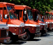 Silverstein's trucks parked off Baldwin Street, Toronto 2011-06-06