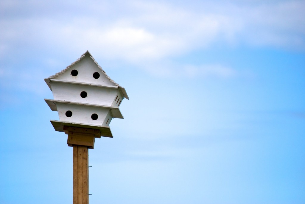 Close-up of bird house in Colonel Samuel Smith Park, Toronto 2011-06-26