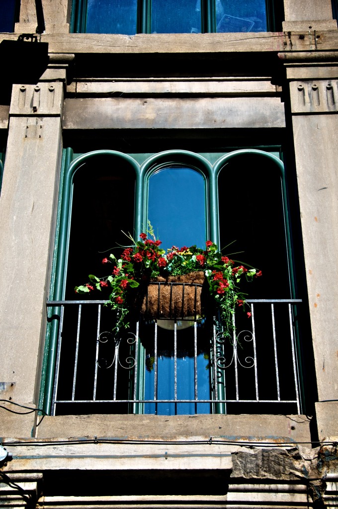 Flower box in a window on rue Saint Paul in Montréal 2011-05-30