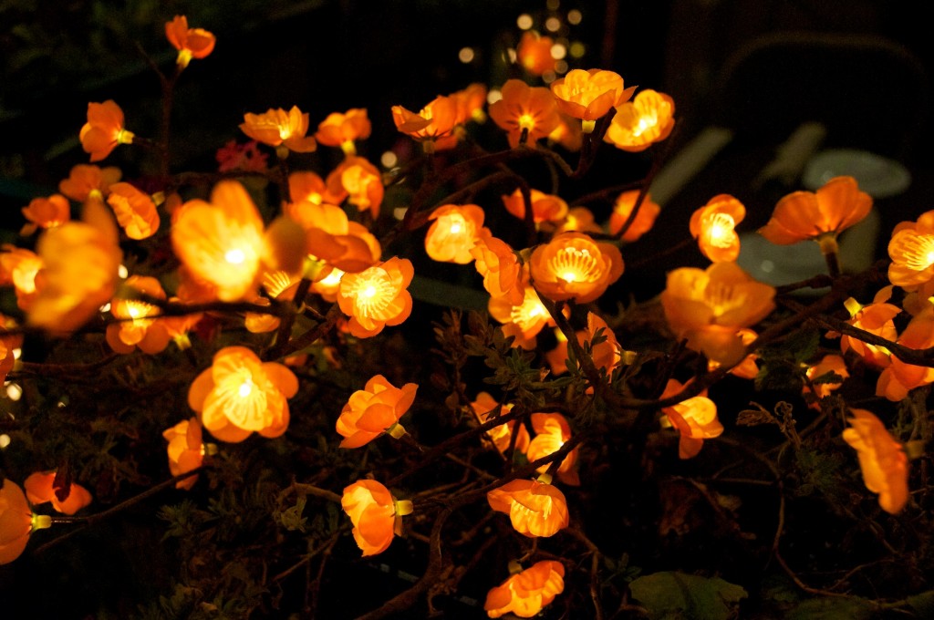 Illuminated flowers along Danforth Avenue, Toronto 