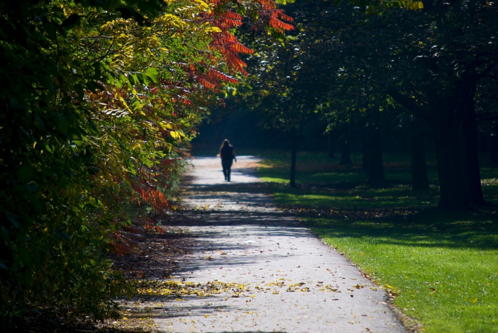 Walking alone in David A Balfour Park, Toronto 2011-10-10