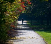 Walking alone in David A Balfour Park, Toronto 2011-10-10