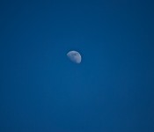 The moon over the Toronto sky
