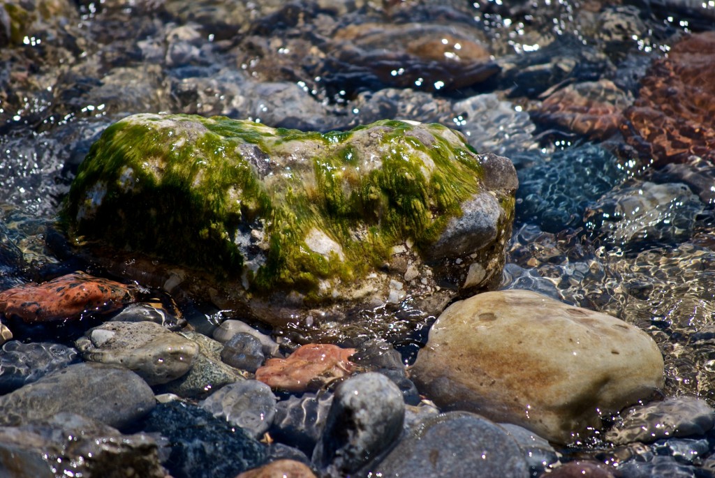 Underwater rock at Woodbine Beach, Toronto 