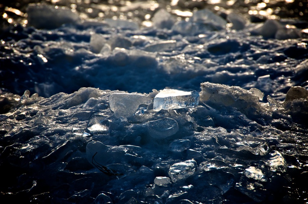 Shining piece of ice, Dorval 2012-01-02