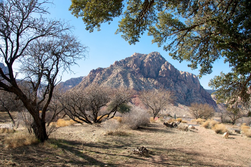 Picturesque view, Spring Mountain Ranch State Park, Nevada 2012-01-18