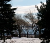Trees in Summerlea Park in Lachine 2012-02-18