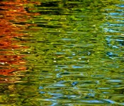 Ripples in the water at Bluffer's Park, Toronto 2011-09-22