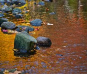 Rocks in a stream in Edward Gardens, Toronto 2011-10-11