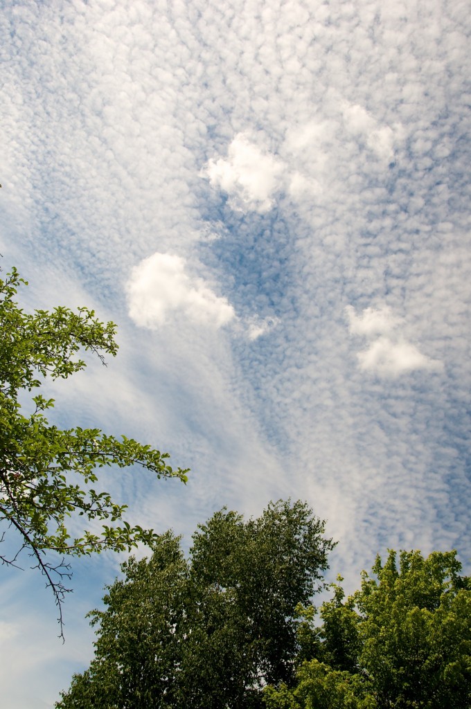 Tips of trees and tremendous sky in Dorval 2012-06-24