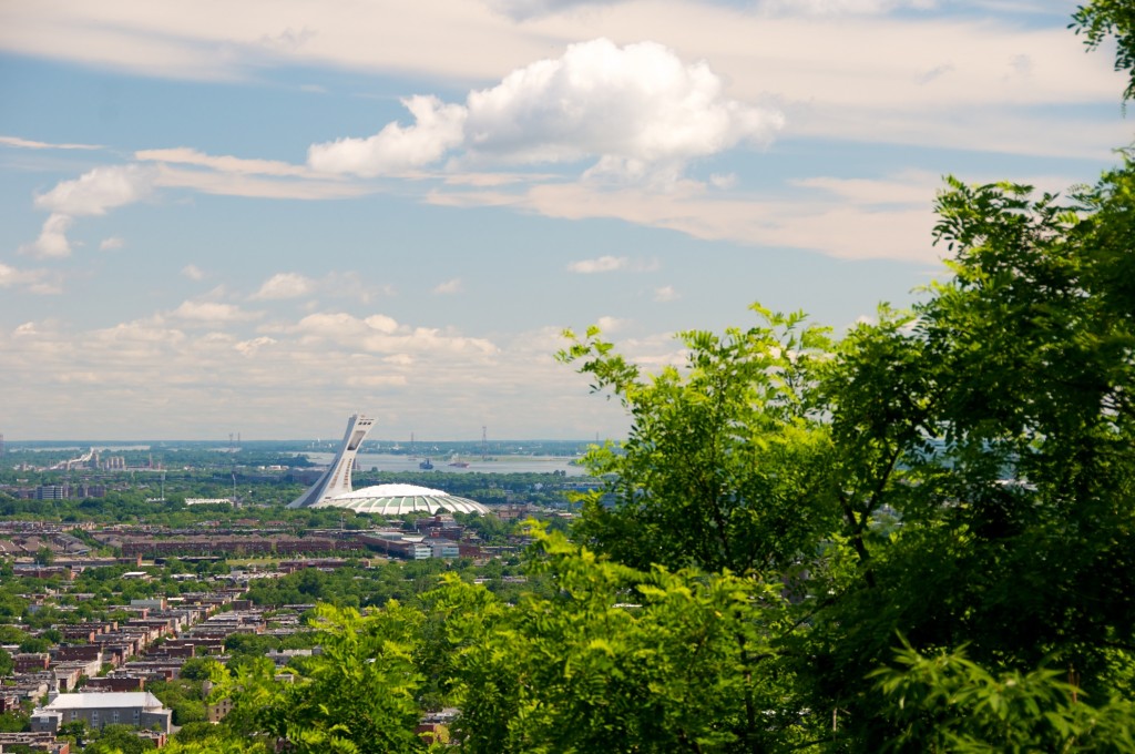 View from Mont-Royal, Montréal 2012-07-01