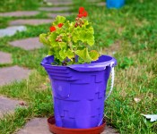 Colourful flower pots in Dorval