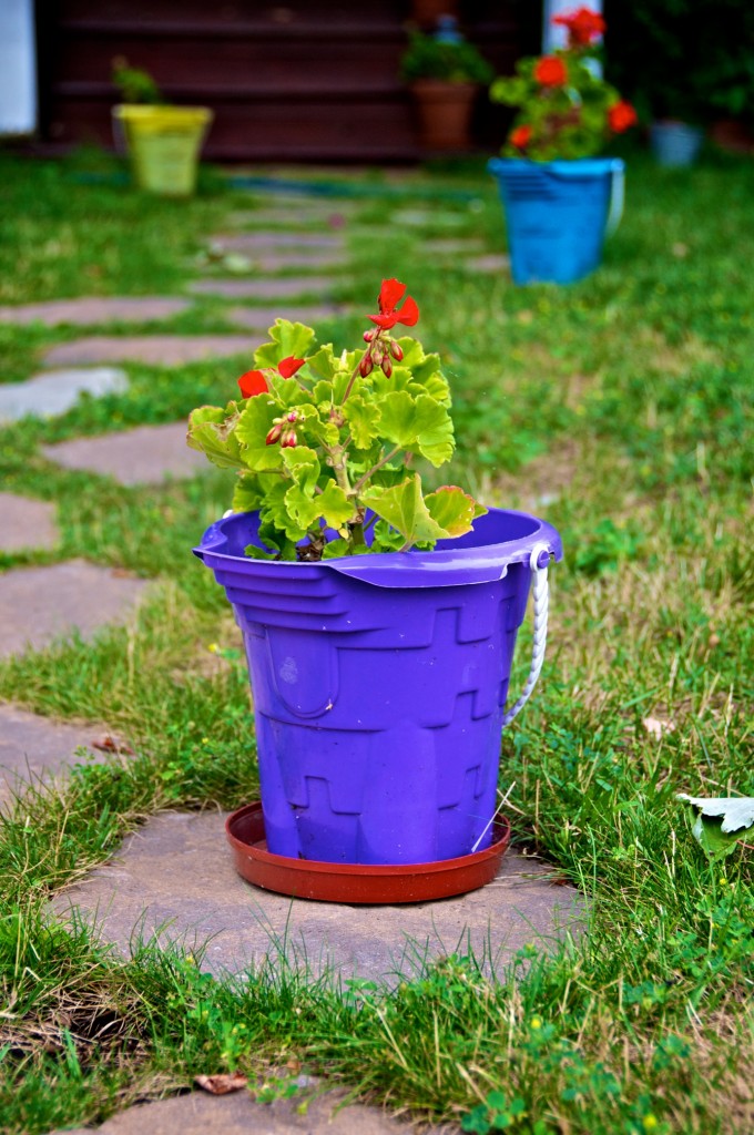 Colourful flower pots in Dorval 