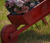 Neighbour's lawn decorations, Dorval 2012-07-23