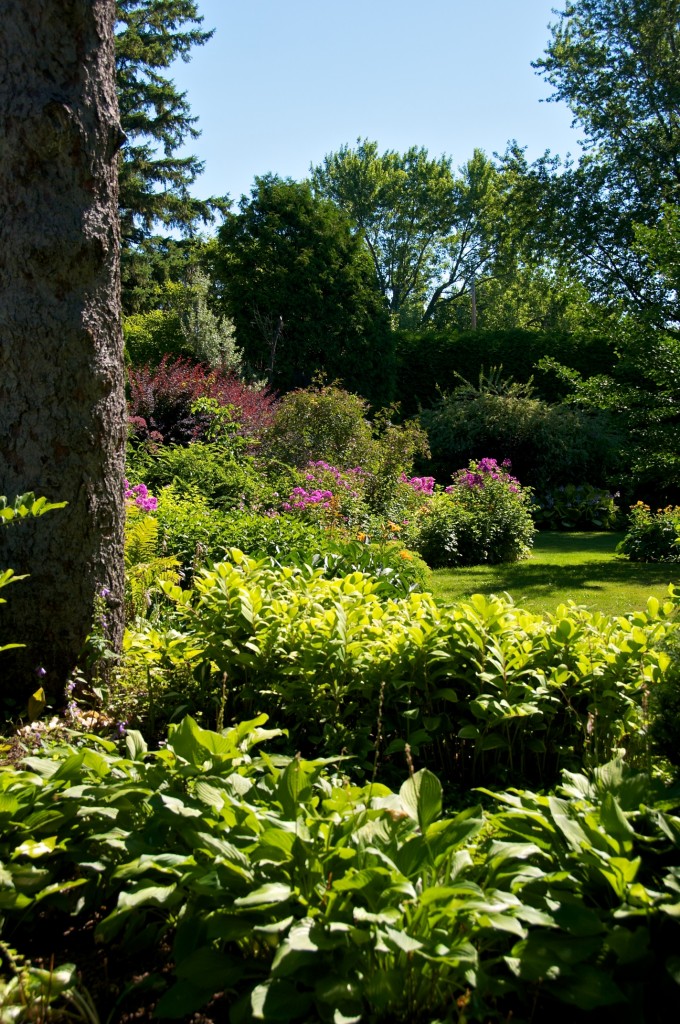 Layers of garden in Dorval
