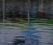 Reflections on the water, Toronto 2011-09-24