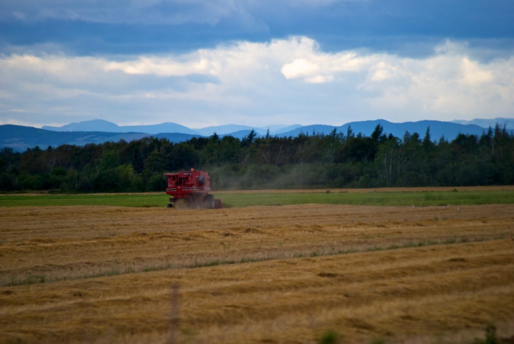 A Farmer's field near Cabano, Québec 2012-08-29