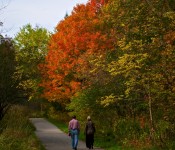 Taking a stroll in Edwards Gardens, Toronto 2011-10-11