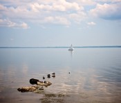 Birds procrastinating on peaceful Lake Saint-Louis, Dorval 2012-09-06