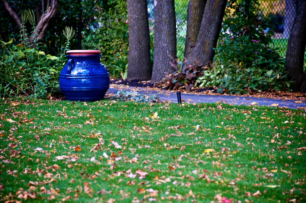 Blue pot in a Dorval yard 2012-10-09