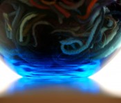 Photo by CASLworks (blue glass vase 2012-11-01)
