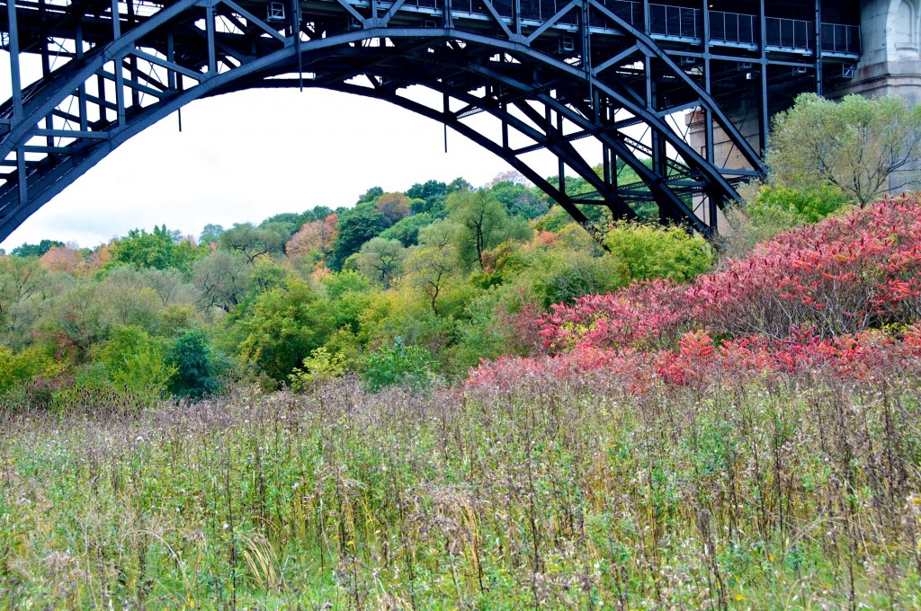 The Bloor Viaduct seen from the Don Valley, Toronto 2011-10-16