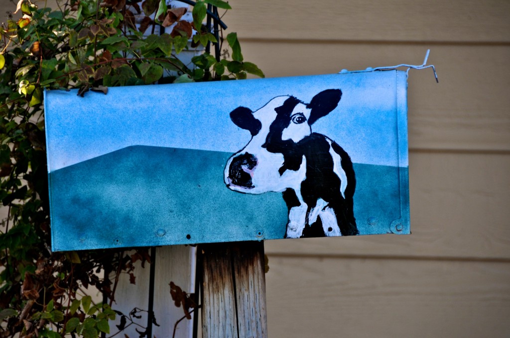 Mailbox cow in Dorval 2012-11-16