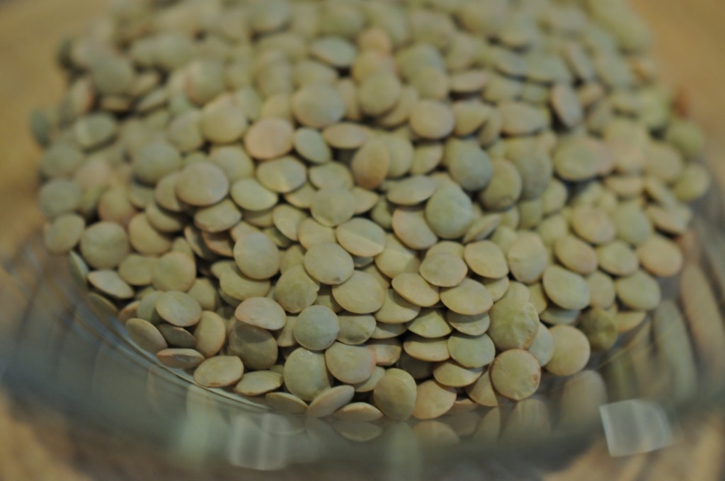 Bowl of lentils 2012-12-31
