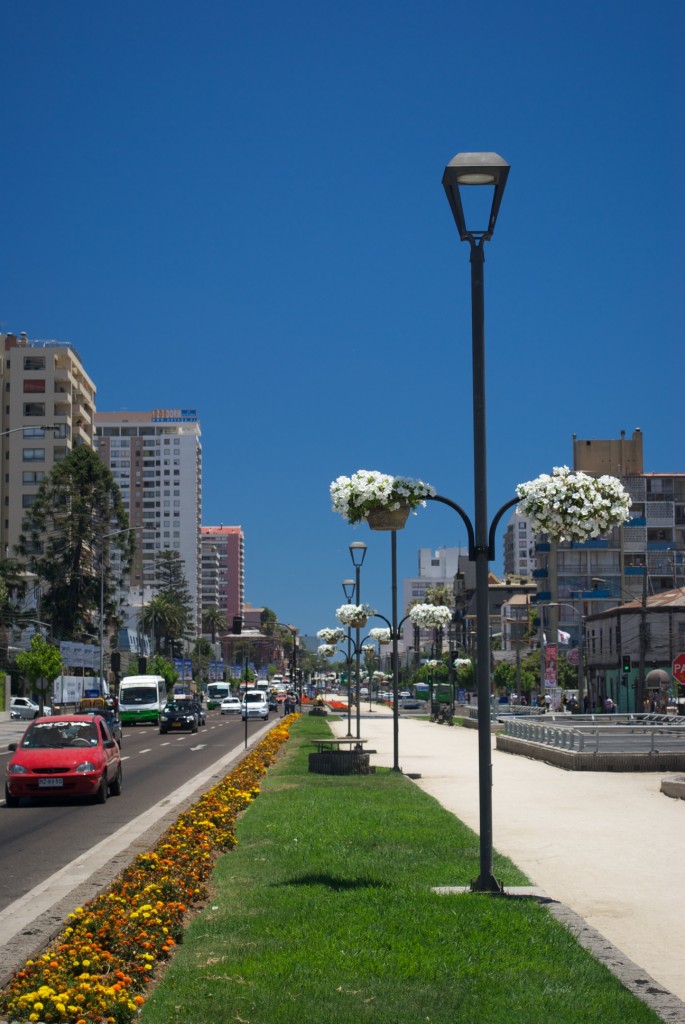 DSC_0287 Viña Del Mar, Chile