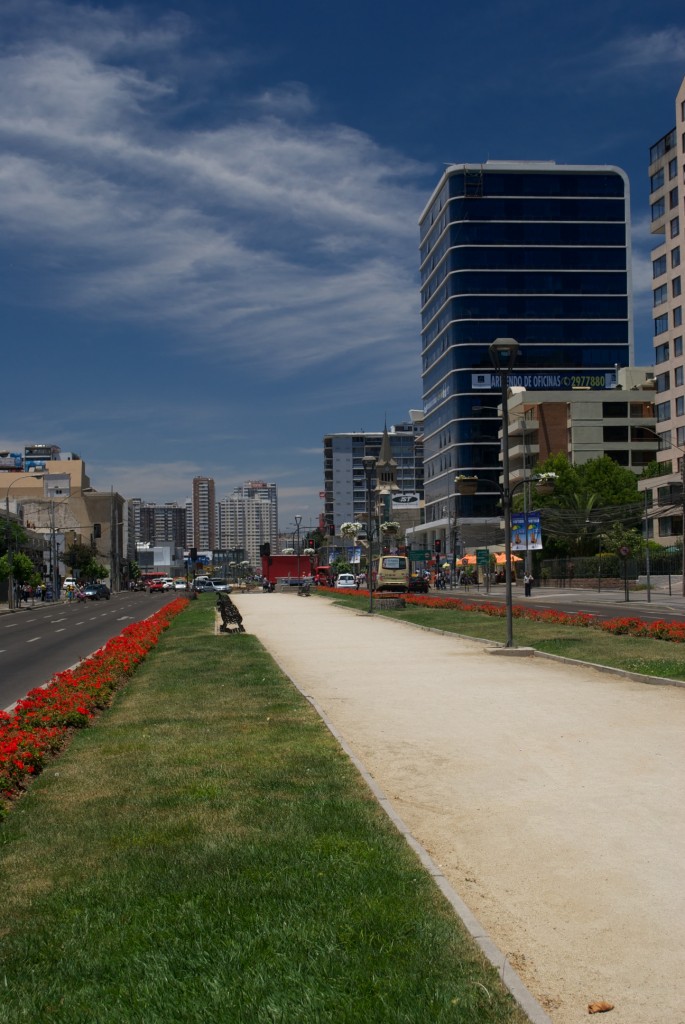 DSC_0294 Viña Del Mar, Chile