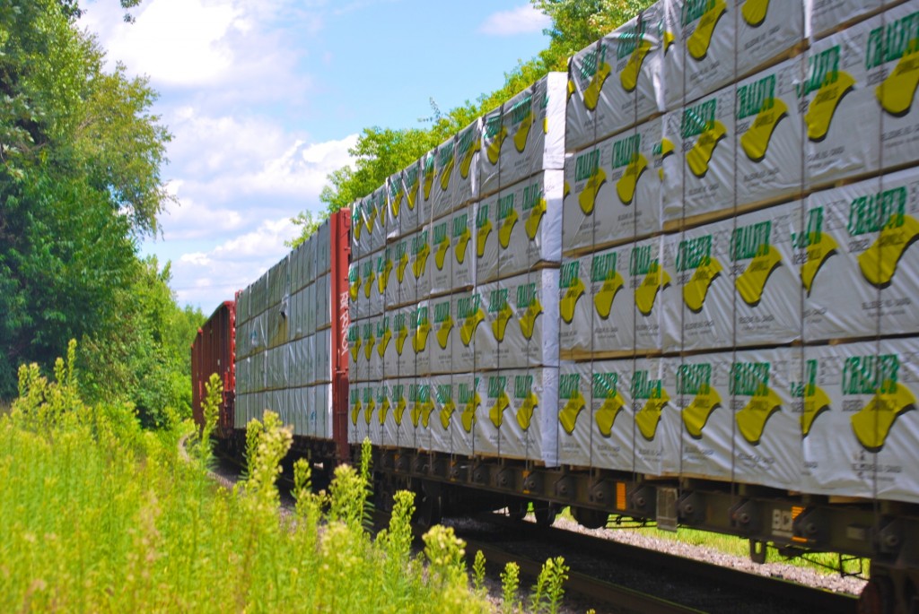 DSC_8743 - Train going through Drummondville, QC.