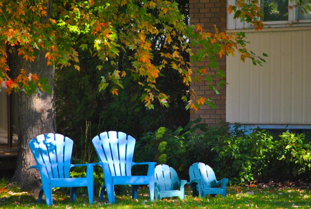 DSC_0068 - Fall sitting